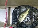 04091110.IMGP0197.JPG
