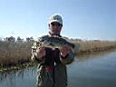 DSC00373.JPG