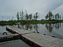 DSC00430.JPG