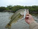 DSC00437.JPG