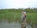 DSC00439.JPG